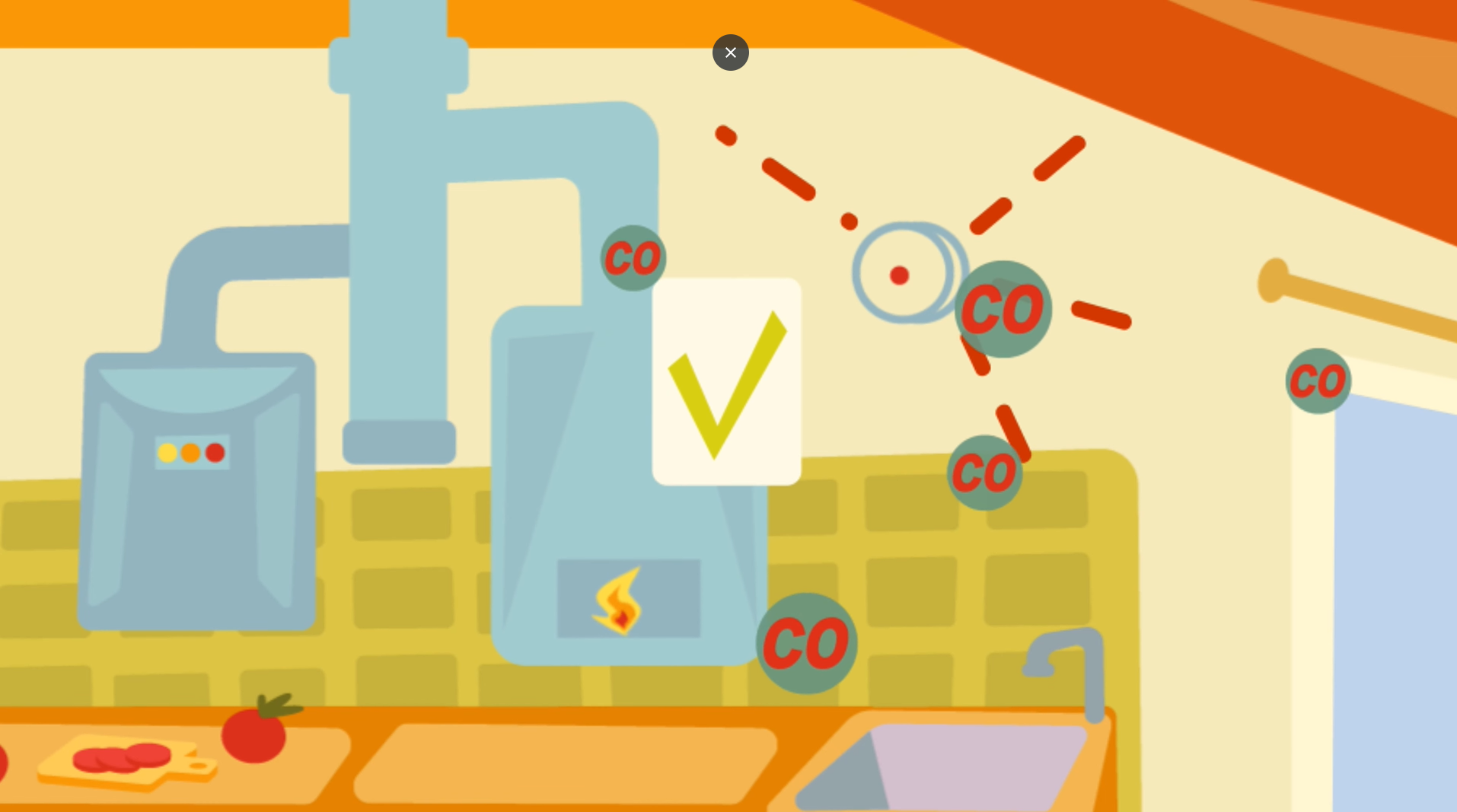 Условия безопасной эксплуатации газового оборудования Условия безопасной эксплуатации газового оборудования