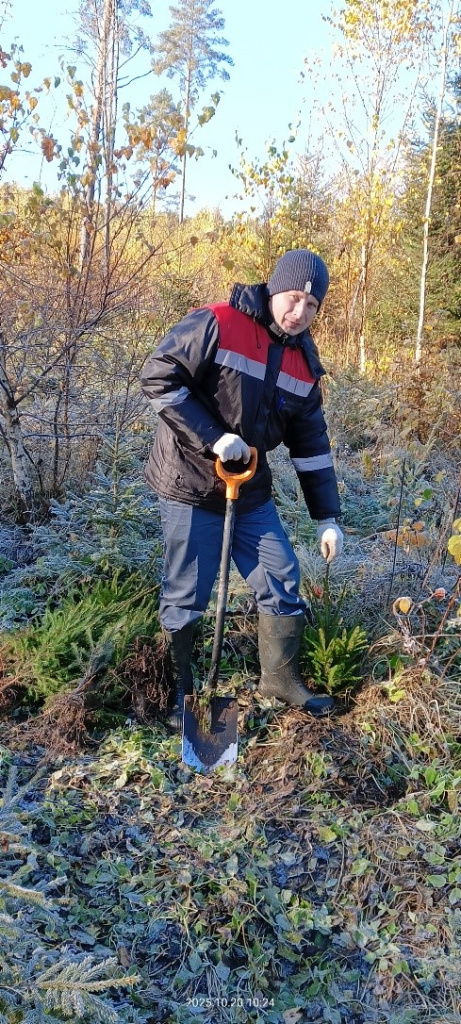 фото 1.jpg фото 1.jpg