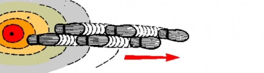 рисунок 3.png