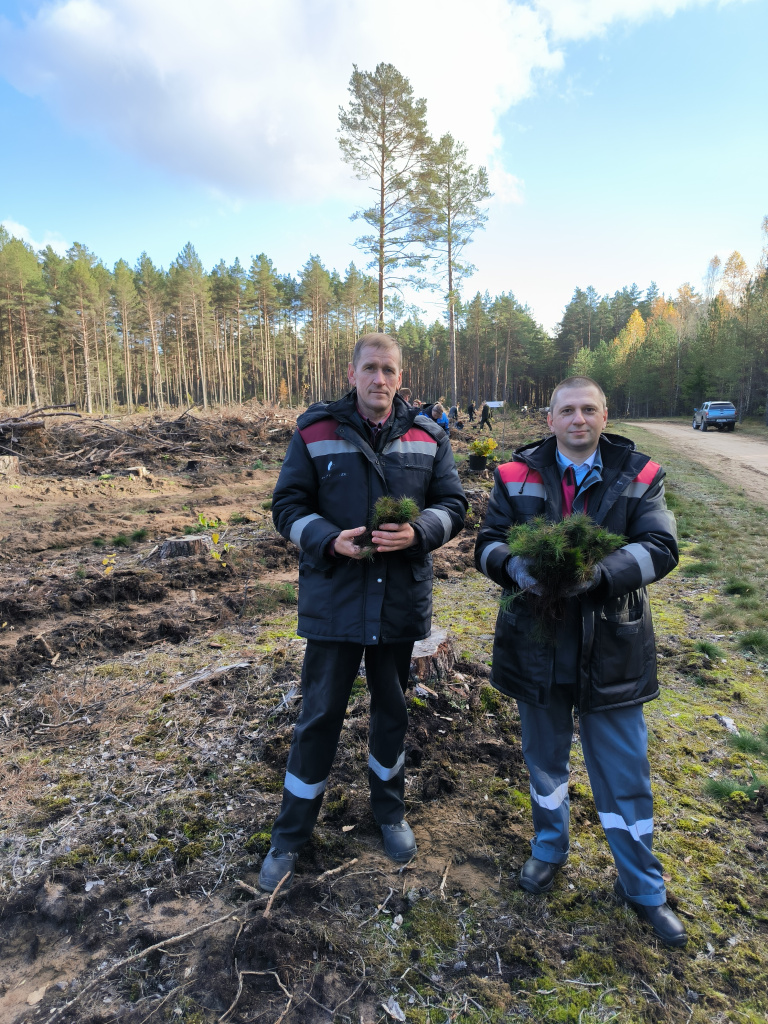 фото 9.jpg фото 9.jpg